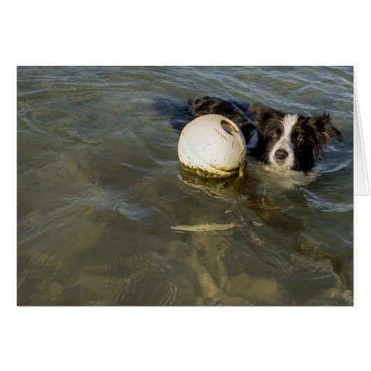 Tennis balls are for weaklings! cards (Front Horizontal)