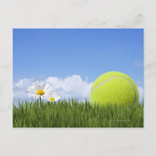 Tennis Balls Postcard (Front)