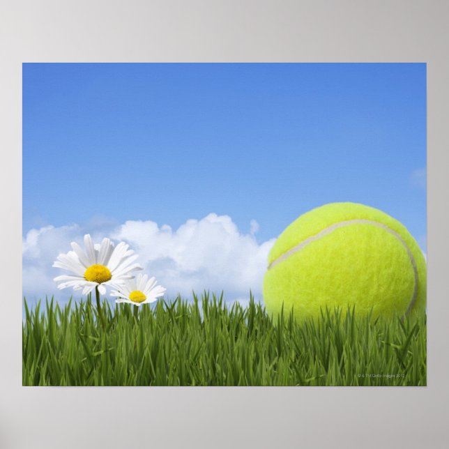 Tennis Balls Poster (Front)