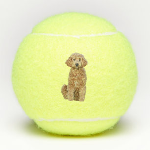 Tennis balls w/ golden doodle
