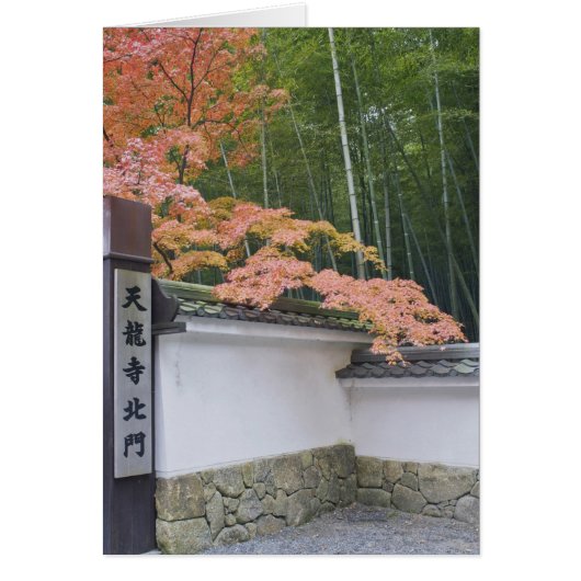 Tenryuji Temple North Gate Cards (Front)