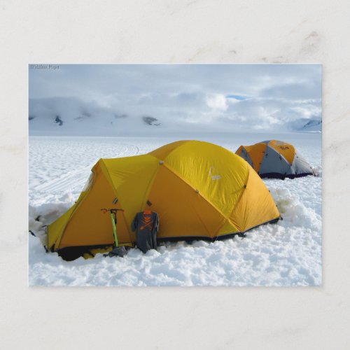 Tent Camping on the Juneau Icefield Alaska Postcard