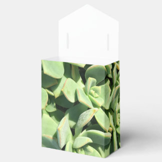 Tent Style Favor Box - Green Succulents