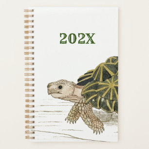 Tent Tortoise Turtle Beach Sea Animal Jigsaw Planner