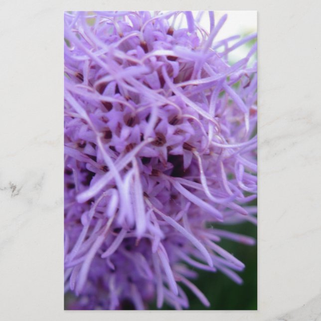 Tentacle Spider Violet Flower Stationery (Front)