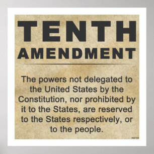 Tenth Amendment Poster