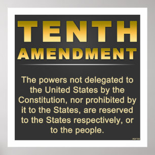 Tenth Amendment Poster