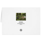 Tents Camping Cards (Back Horizontal)