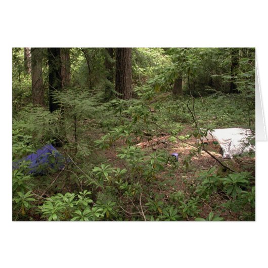 Tents Camping Cards (Front Horizontal)