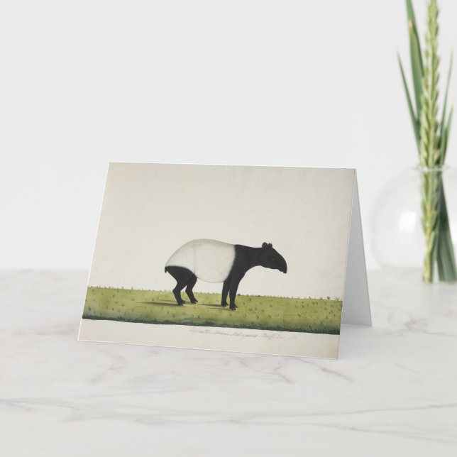 Tepir Greeting Card (Front)