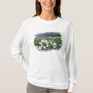 Teppo Yuri (Lily), Yakushima, Kagoshima, Japan T-Shirt