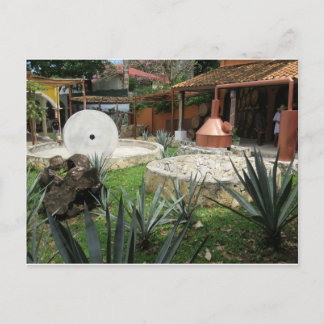 Tequila Brewery in Cozumel Postcard