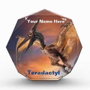 Teradactyl Acrylic Award