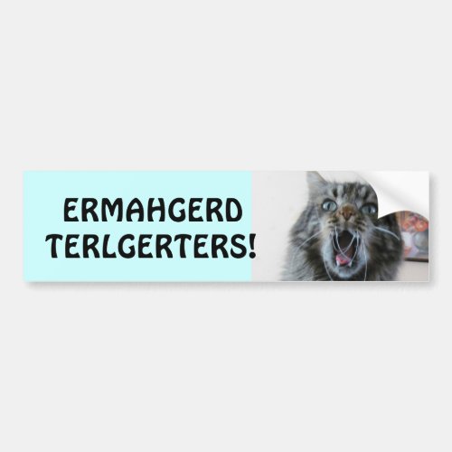 Terlgerters Ermahgerd Shocked Kitty Tailgaters Bumper Sticker
