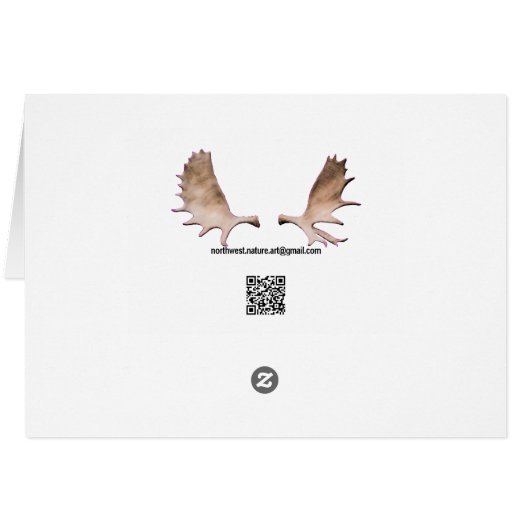 Terminal Velocity Peregrine Falcon (Back Horizontal)