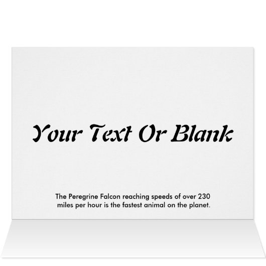 Terminal Velocity Peregrine Falcon (Inside Horizontal (Top))