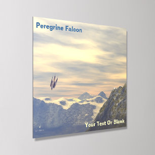 Terminal Velocity Peregrine Falcon Acrylic Photo Tile