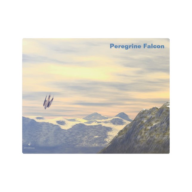 Terminal Velocity Peregrine Falcon Metal Print (Front)