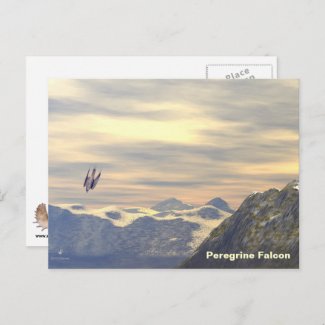 Terminal Velocity Peregrine Falcon