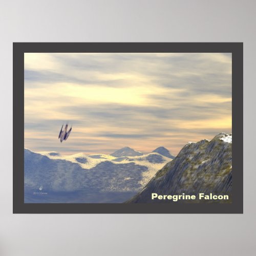Terminal Velocity Peregrine Falcon Poster