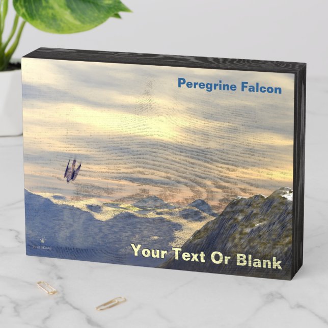 Terminal Velocity Peregrine Falcon Wooden Box Sign (In Situ Horizontal)