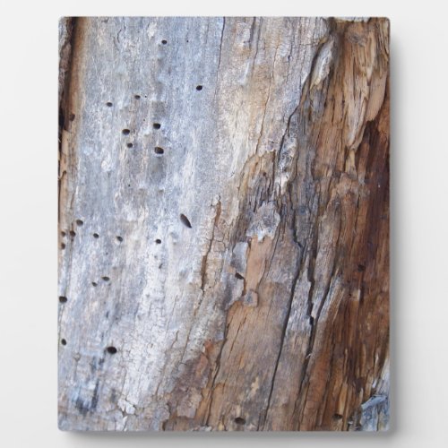 Termite Log Plaque