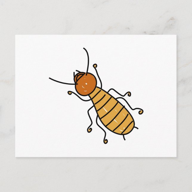 termite postcard (Front)