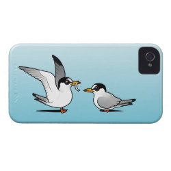 Least Tern Love Case-Mate iPhone 4 Barely There Universal Case
