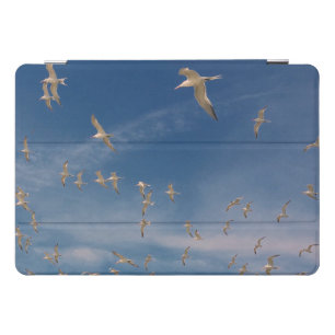 Terns Overhead iPad Pro Cover