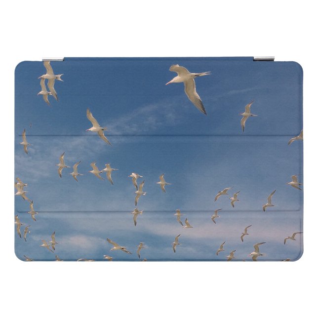 Terns Overhead iPad Pro Cover (Horizontal)