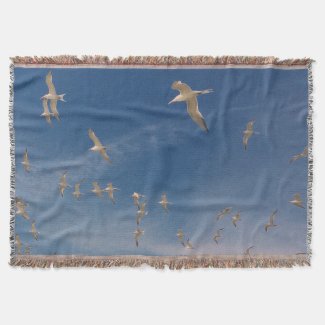 Terns Overhead Throw