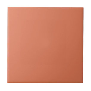 Terra Cotta Color 1 Tile