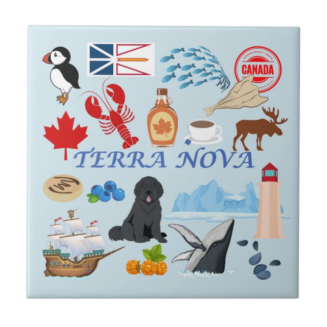 Terra Nova Newfoundland Ceramic Tile (Front)