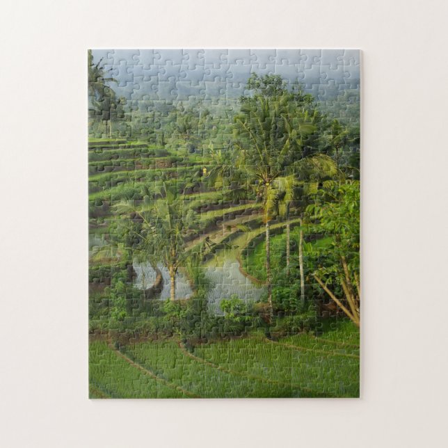 Terrace Ricefield in Bali Jigsaw Puzzle (Vertical)