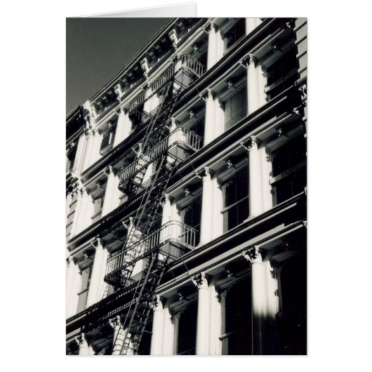 terrace stairs (Front)