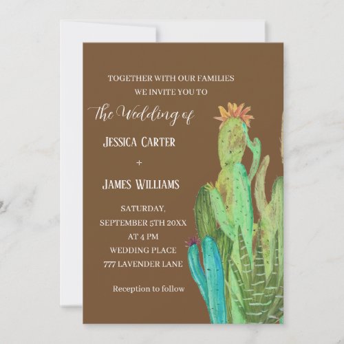 Terracotta Cactus Desert Mexico Watercolor Wedding Invitation