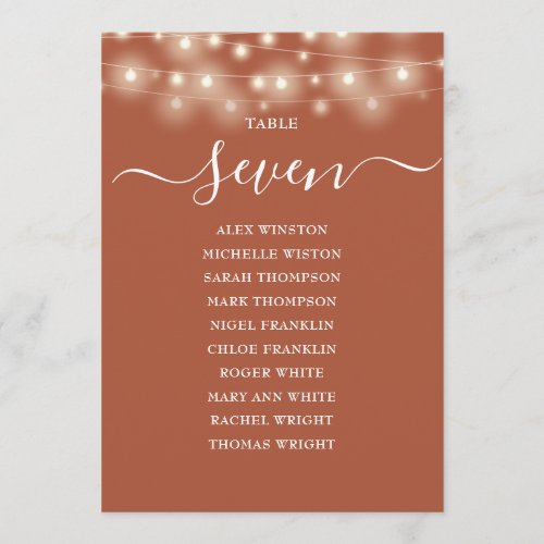 Terracotta Lights Table Number Seating Chart