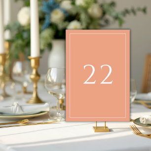 Terracotta Minimalist Elegant Wedding  Table Number