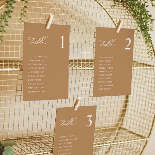 Terracotta Modern Wedding Seating Chart Cards (Creator Uploaded)