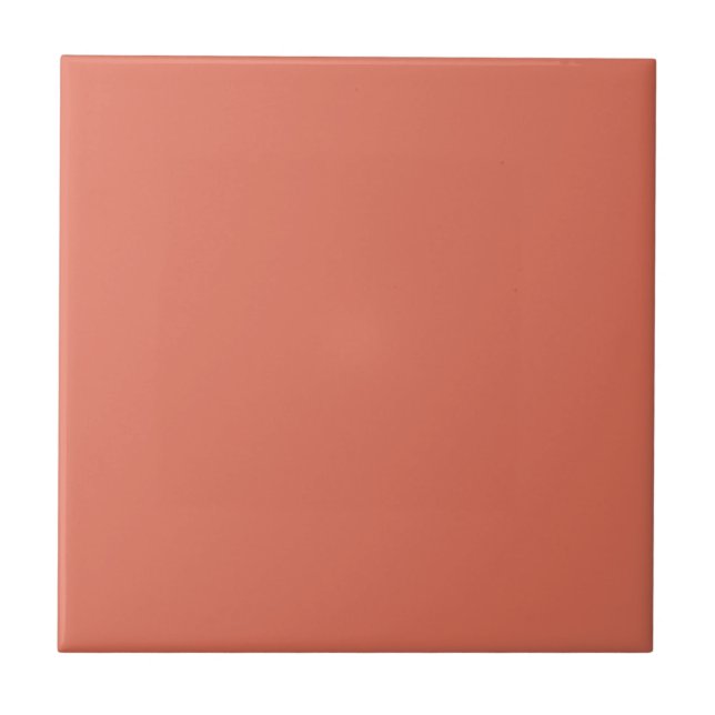 Terracotta Plain Solid Color Ceramic Tile (Front)