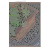 Terracotta planter on wrought iron table (Front)