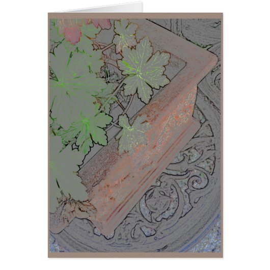 Terracotta planter on wrought iron table (Front)