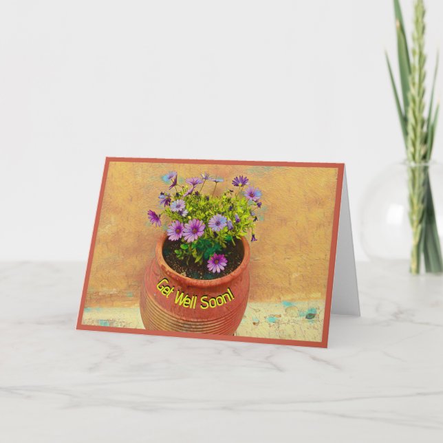 Terracotta potted purple African Daisies/ Get Well Card (Front)