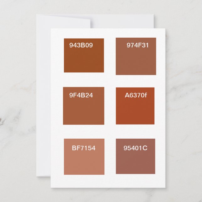 Terracotta Rust Color Swatches Invitation (Front)