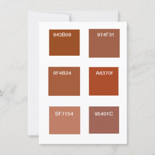 Terracotta Rust Color Swatches Invitation