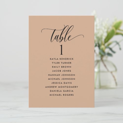 Terracotta Seating Plan Cards with Guest Names 