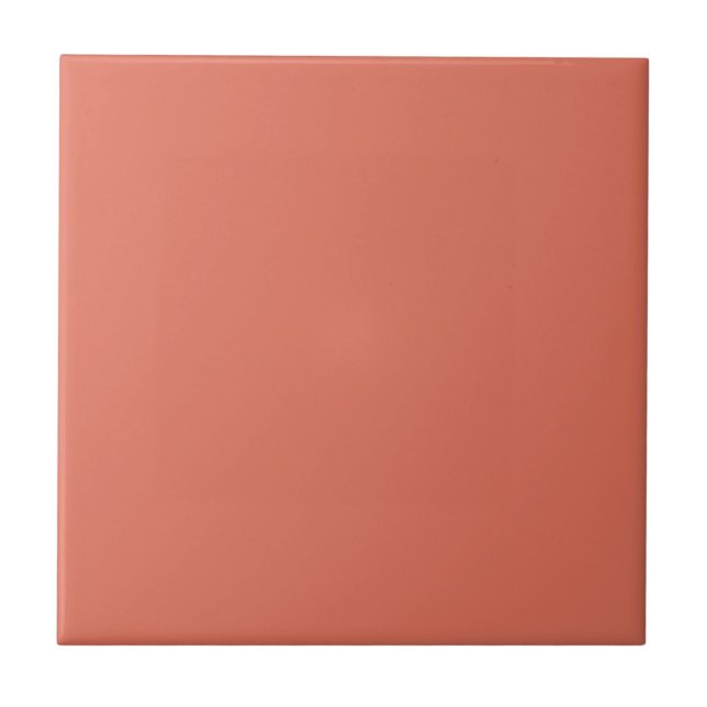 Terracotta Solid Color Ceramic Tile (Front)