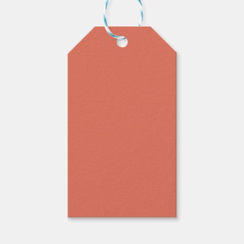 Terracotta Solid Color Gift Tags