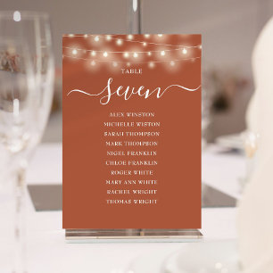 Terracotta String Light Table Number Seating Chart