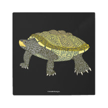 Terrapin (black) - Metal Print